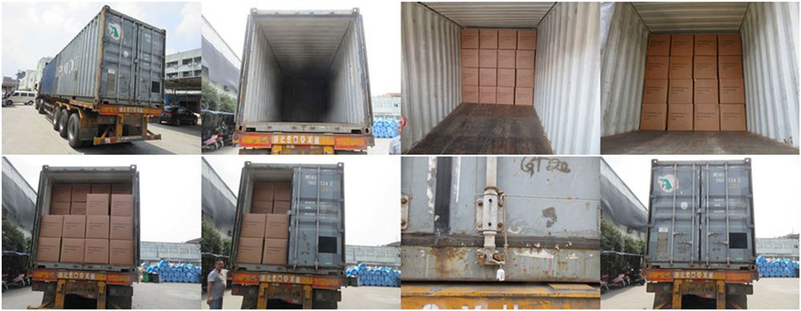 Container Inspection Loading Check from Green Field Container Inspection Loading Check from Green Field