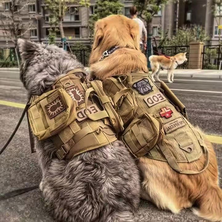 Manufacturer Dog Travel Backpack For Food
